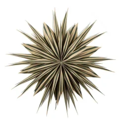 Adventsstjerne Stripe