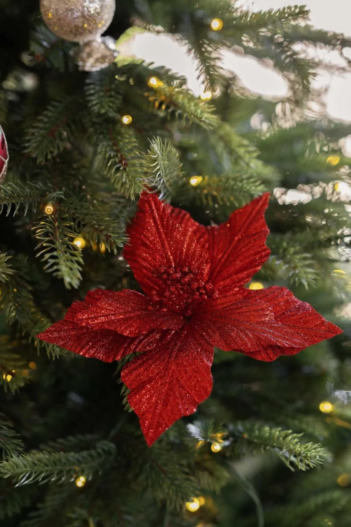 Blomst på klype rød