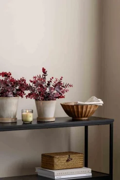 Eucalyptus, burgunder