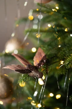 Fugl på klype kolibri