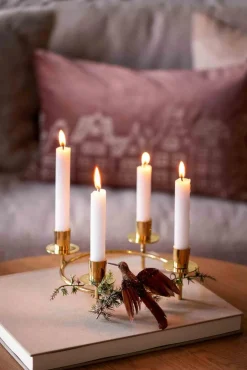 Fugl på klype kolibri