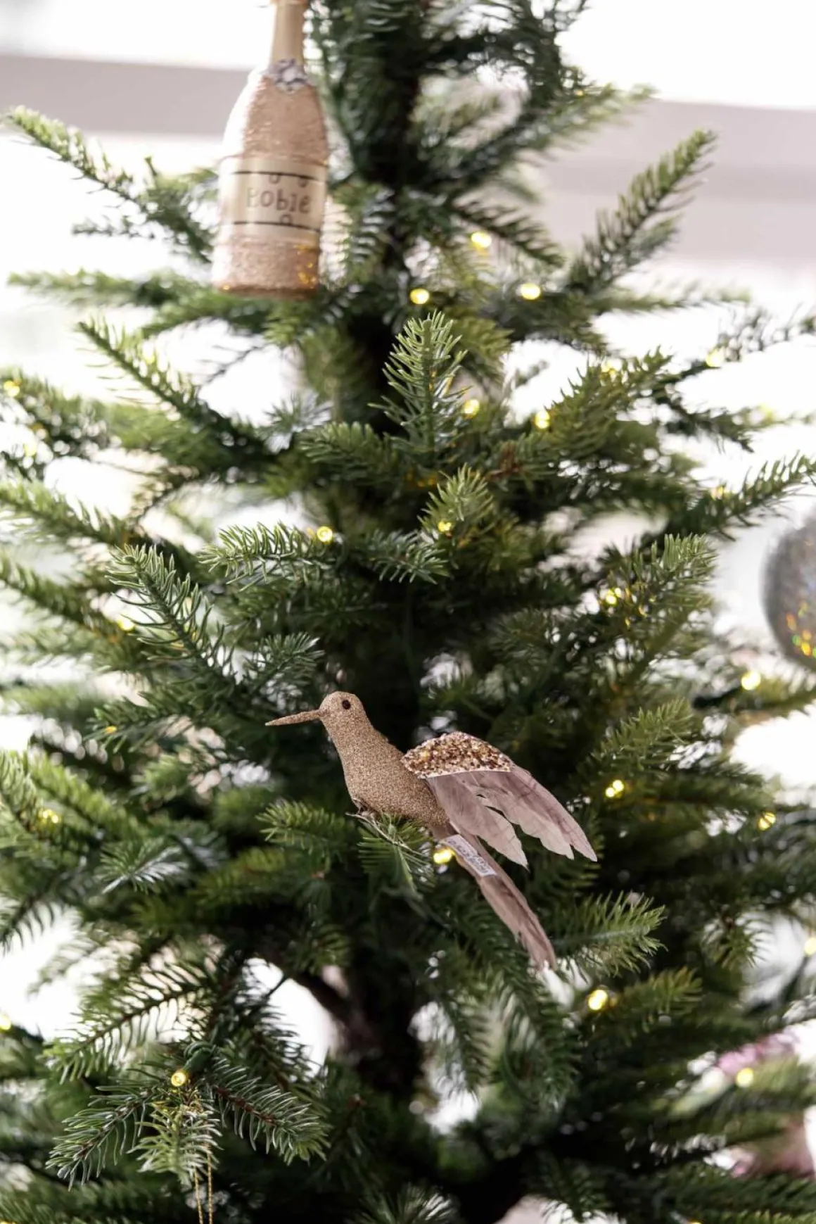 Fugl på klype kolibri