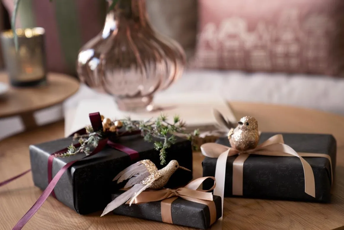 Fugl på klype kolibri