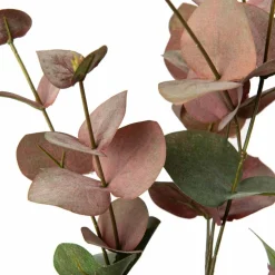 Gren Eucalyptus