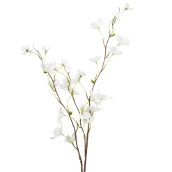 Gren Kornell hvit