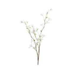 Gren Kornell hvit