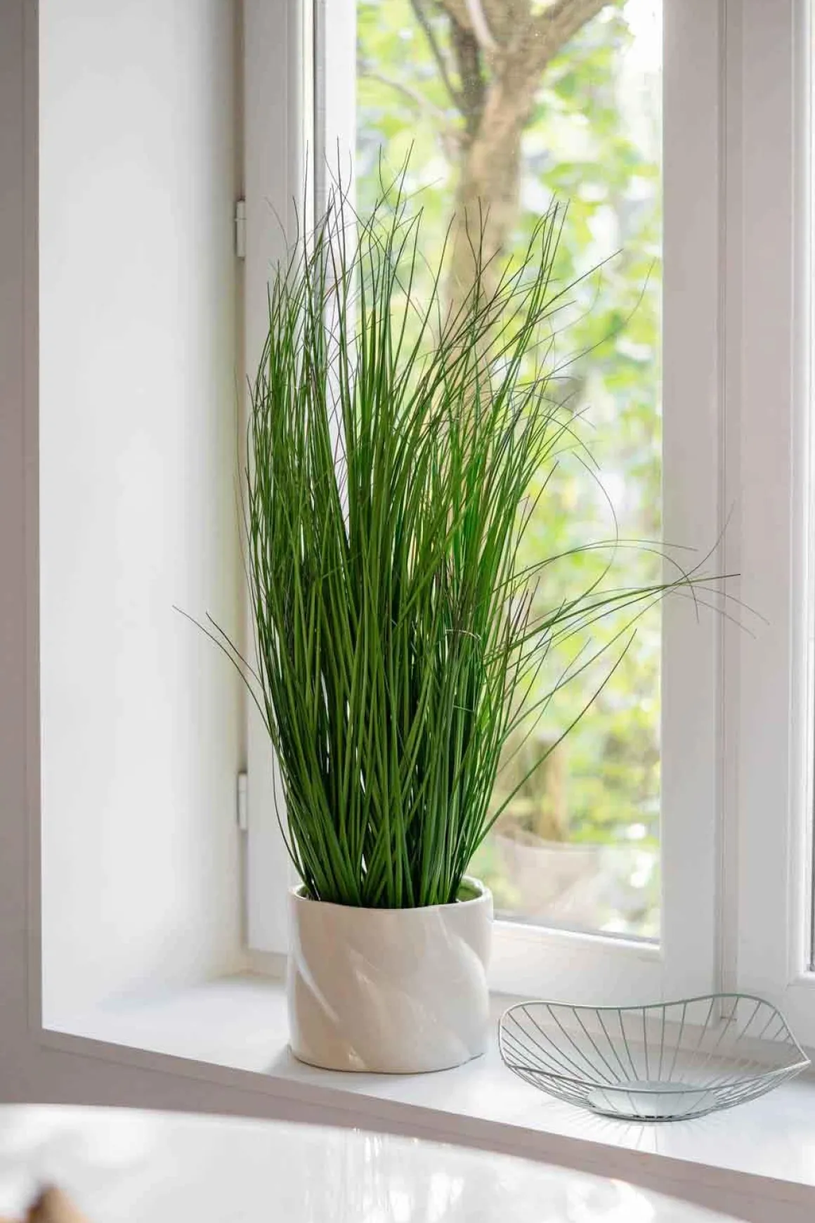 Kurv String Mie lav grønn