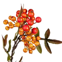 Kvist med orange bær