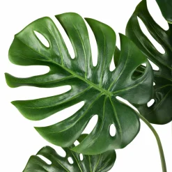 Monstera i potte 109 cm