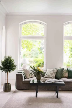 Oliventre i potte H 120 cm