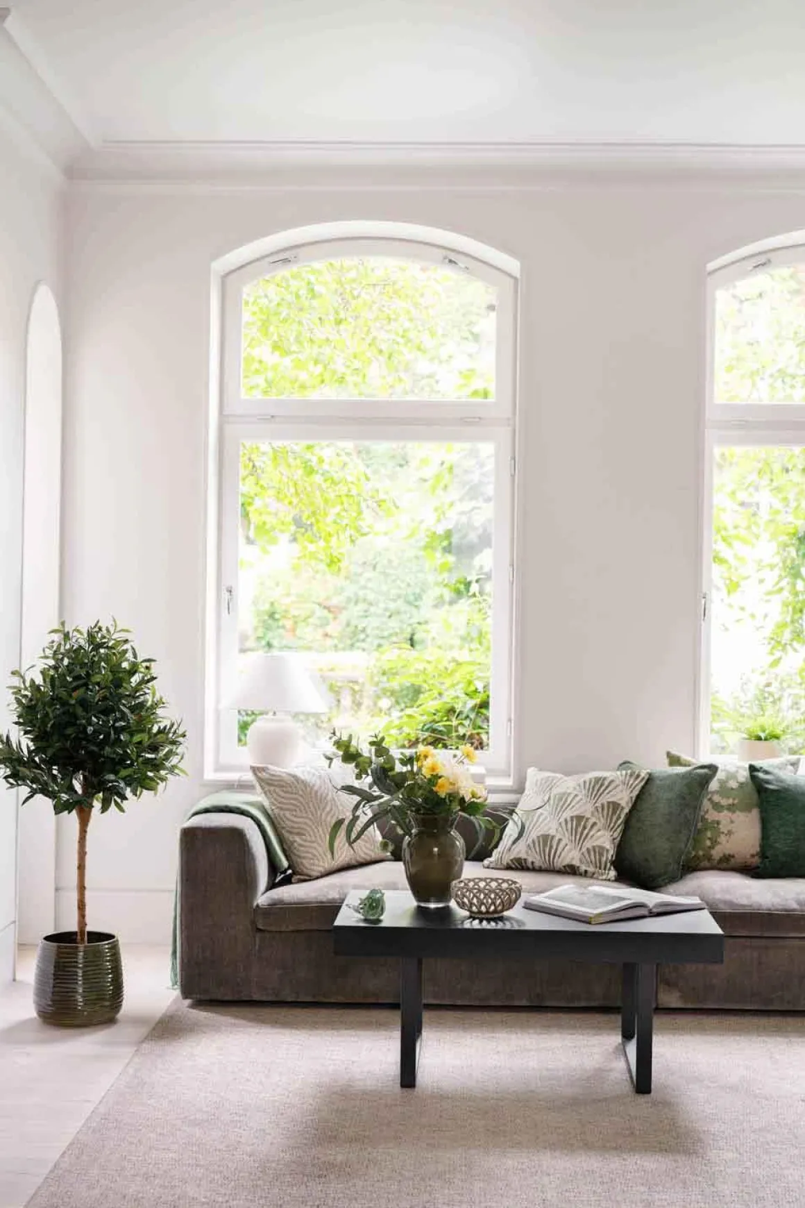 Oliventre i potte H 120 cm