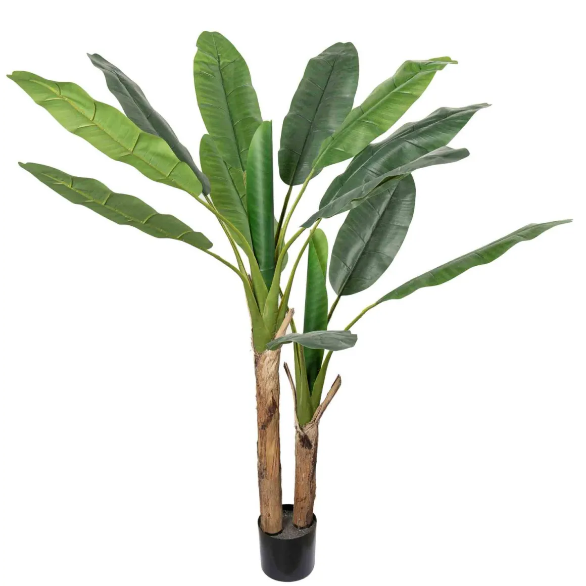 Plante Banantre 135cm