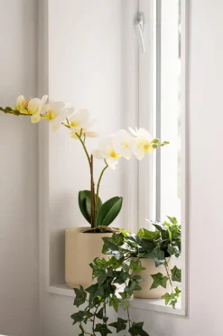 Potte Avetia 11,5 cm, krem