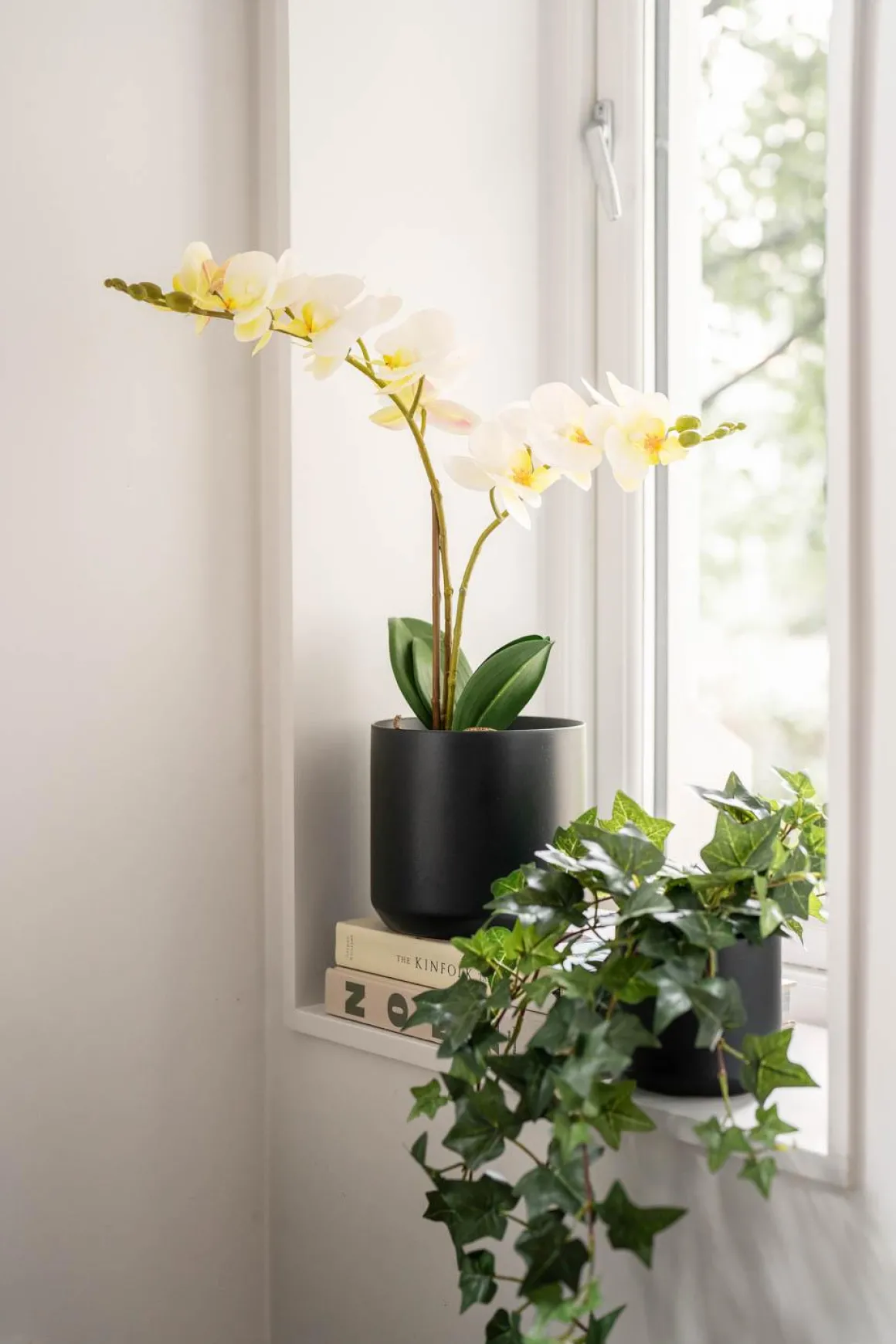 Potte Avetia 11,5 cm, sort