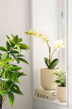 Potte Riley matt 14 cm, beige