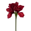 Stilkblomst Amaryllis rød