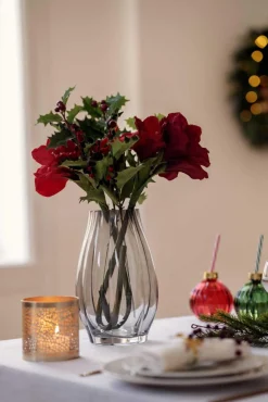 Stilkblomst Amaryllis rød