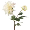 Stilkblomst Dahlia 70 cm hvit