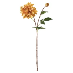 Stilkblomst Dahlia 70 cm oker