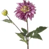 Stilkblomst Dahlia 70 cm rosa