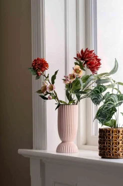 Stilkblomst Krysantemum