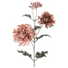 Stilkblomst Krysantemum 80cm rosa