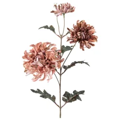 Stilkblomst Krysantemum 80cm rosa