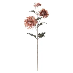 Stilkblomst Krysantemum 80cm rosa