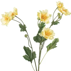 Stilkblomst Ranunkel 69 cm