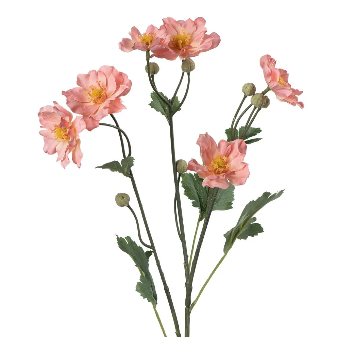 Stilkblomst Ranunkel 69 cm fersken