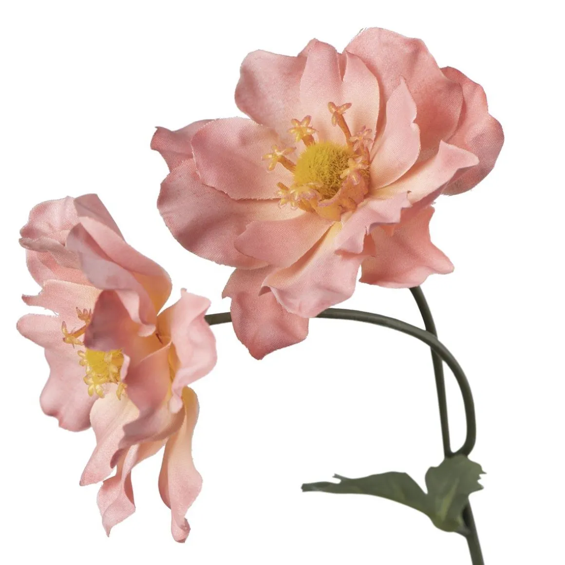 Stilkblomst Ranunkel 69 cm fersken